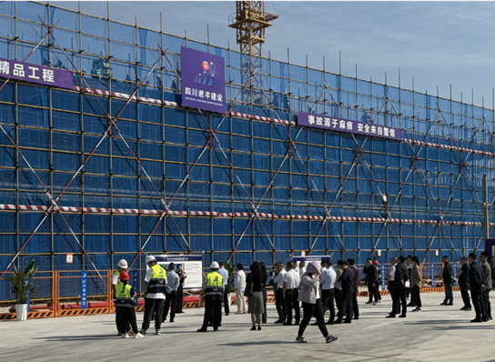 阆中市人大重要辅导调研阆中市医疗康复中心建设项目